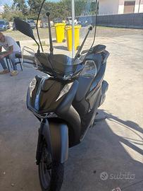 Sh 150 sport 2024 polacco