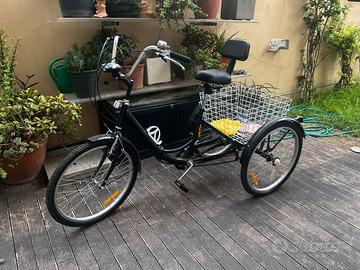 Triciclo adulti 220€