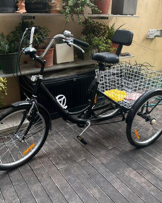 Triciclo adulti 220€