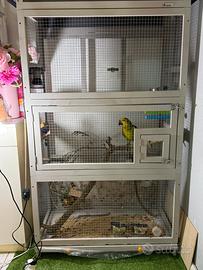 Voliera per Uccelli
