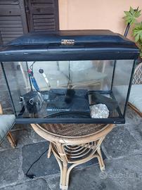 acquario