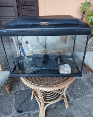 acquario