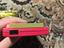 Immagine 5