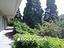 Immagine 11