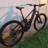 Orbea wild carbon