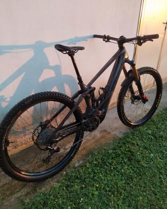 Orbea wild carbon