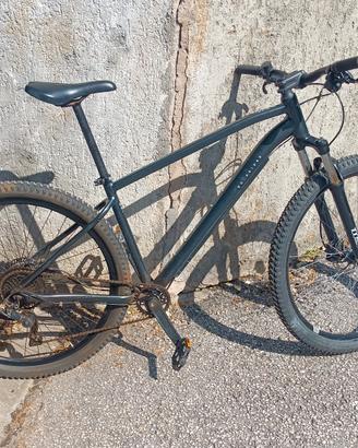 Bici MTB usata