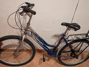 Bicicletta