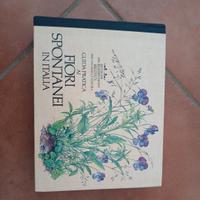 Fiori Spontanei
