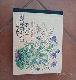 Fiori Spontanei