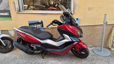 Sym Cruisym 300