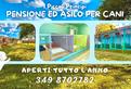Pensione per cani