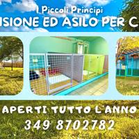 Pensione per cani