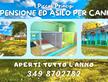 Pensione per cani