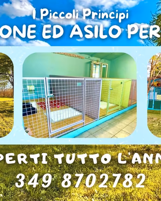 Pensione per cani