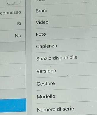 IPAD A1460