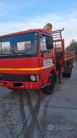 Autocarro ribaltabile posteriore con gru