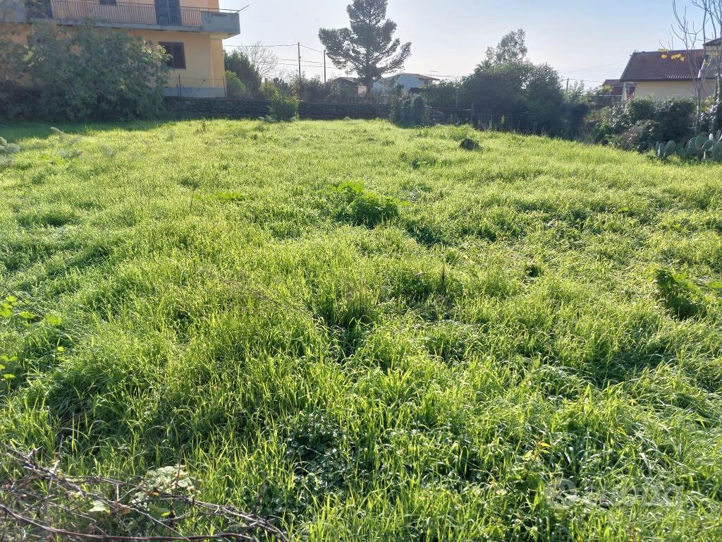 Terreno agricolo 1000 mq circa s.m. la stella - Vista 2