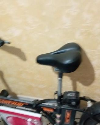 bicicletta elettrica 
