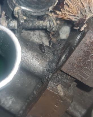 Motore Ld20iie 2.0 nussa trade
