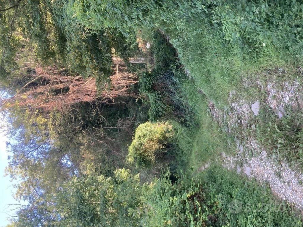 Immobile in asta di 5730 m² a Calcinate - Vista 5
