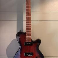 godin elettrica