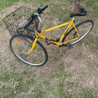 Bici
