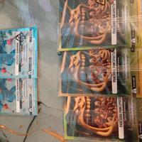 carte brainrot 