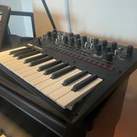 Korg monologue black