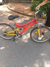 bici da bambino