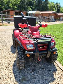 Quoad Kawasaki Altro modello