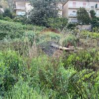 Terreno Edificabile - Borgetto