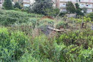 Terreno Edificabile - Borgetto