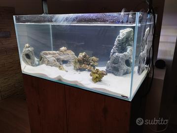 Acquario