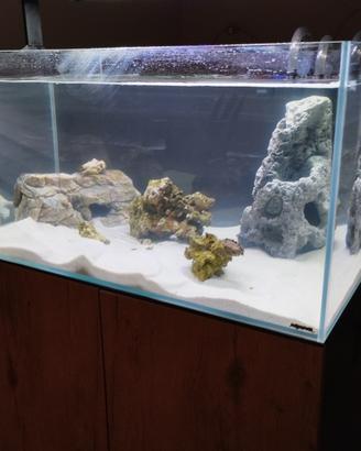 Acquario