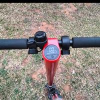 Monopattino Elettrico