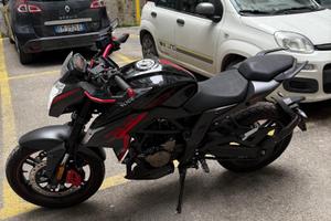 Voge Brivido 300 - 2022