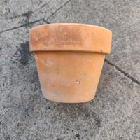 vasi terracotta  20z