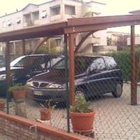 Tettoie e pergole in legno