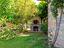Immagine 16