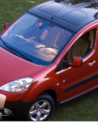 ricambi Peugeot partner