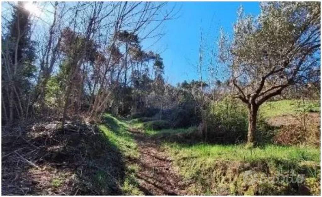 Immobile in asta di 16323 m² a Camaiore - Vista 3