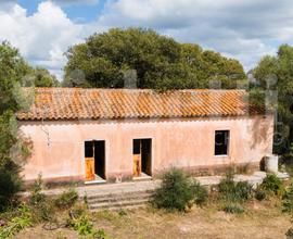 Masseria gallurese con tipica casa del forno