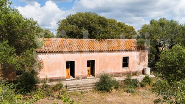 Masseria gallurese con tipica casa del forno