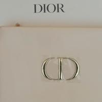 Pochette Dior