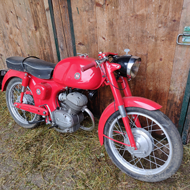 Motom Junior 100 Sport