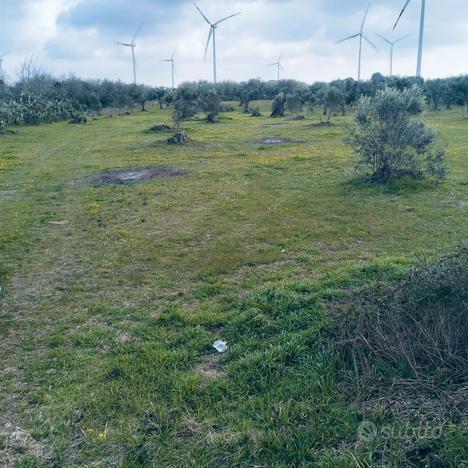 Terreno agricolo fronte strada 33 are