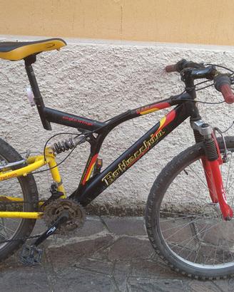 Mountain bike