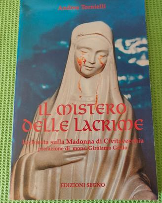 Il mistero delle lacrime. Inchiesta sulla Madonna