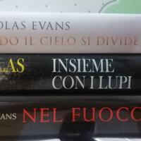 Nicholas Evans libri romanzi 